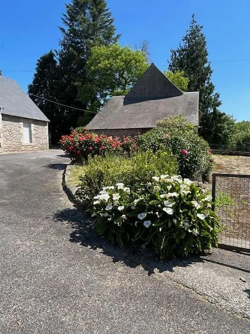 Gite Du Dolmen Guiscriff 法国